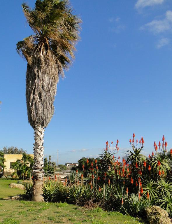 파뷔냐나도 Il Giardino Delle Aloe 게스트하우스 외부 사진