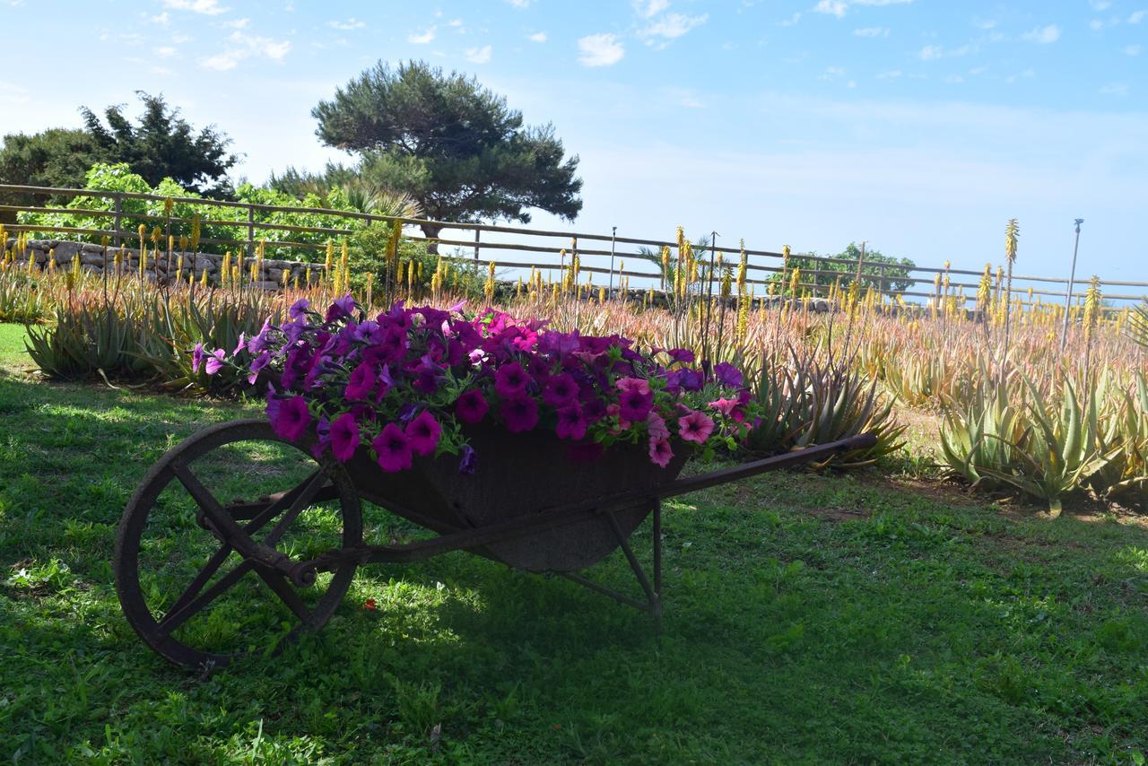 파뷔냐나도 Il Giardino Delle Aloe 게스트하우스 외부 사진