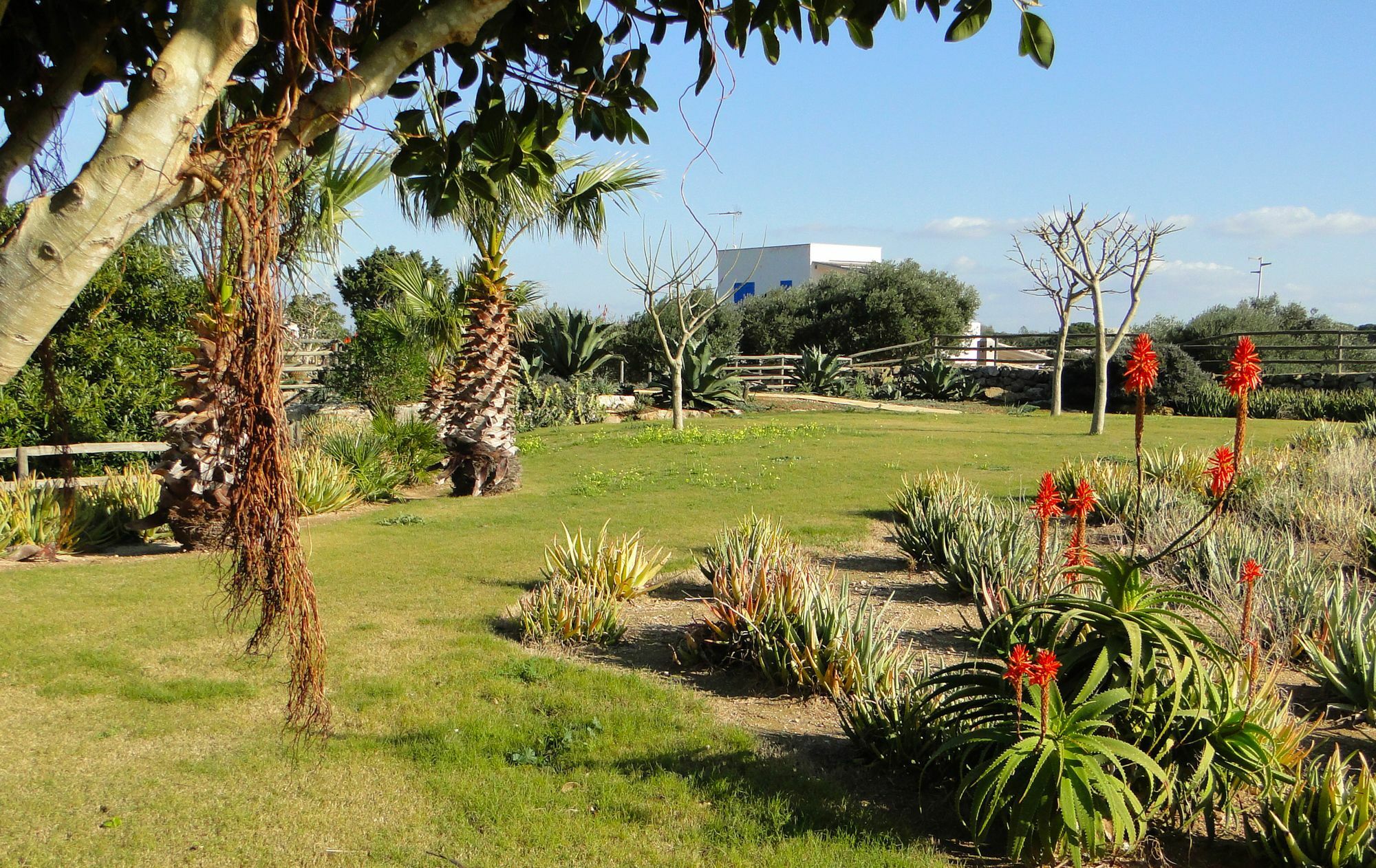 파뷔냐나도 Il Giardino Delle Aloe 게스트하우스 외부 사진