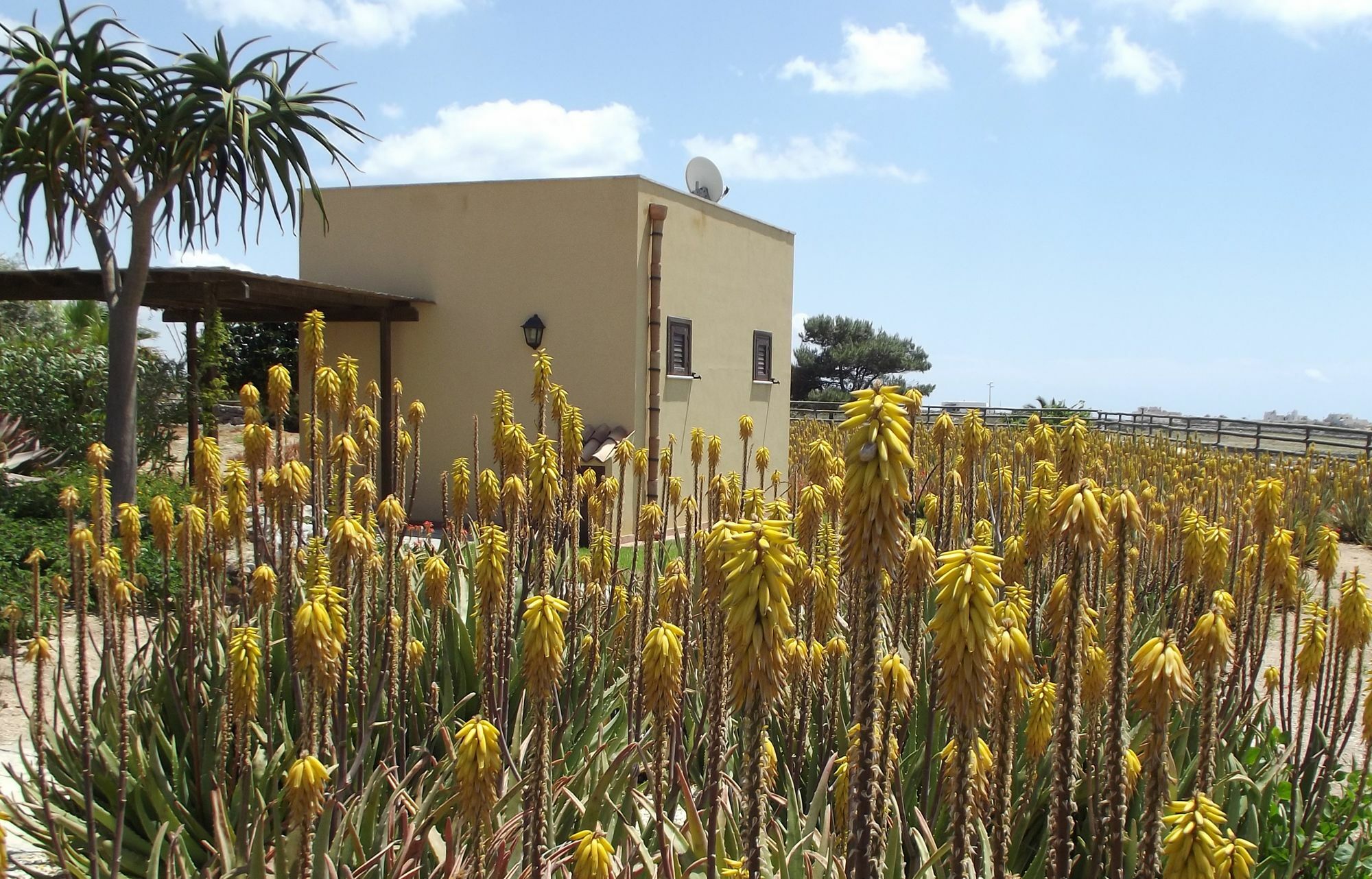 파뷔냐나도 Il Giardino Delle Aloe 게스트하우스 외부 사진