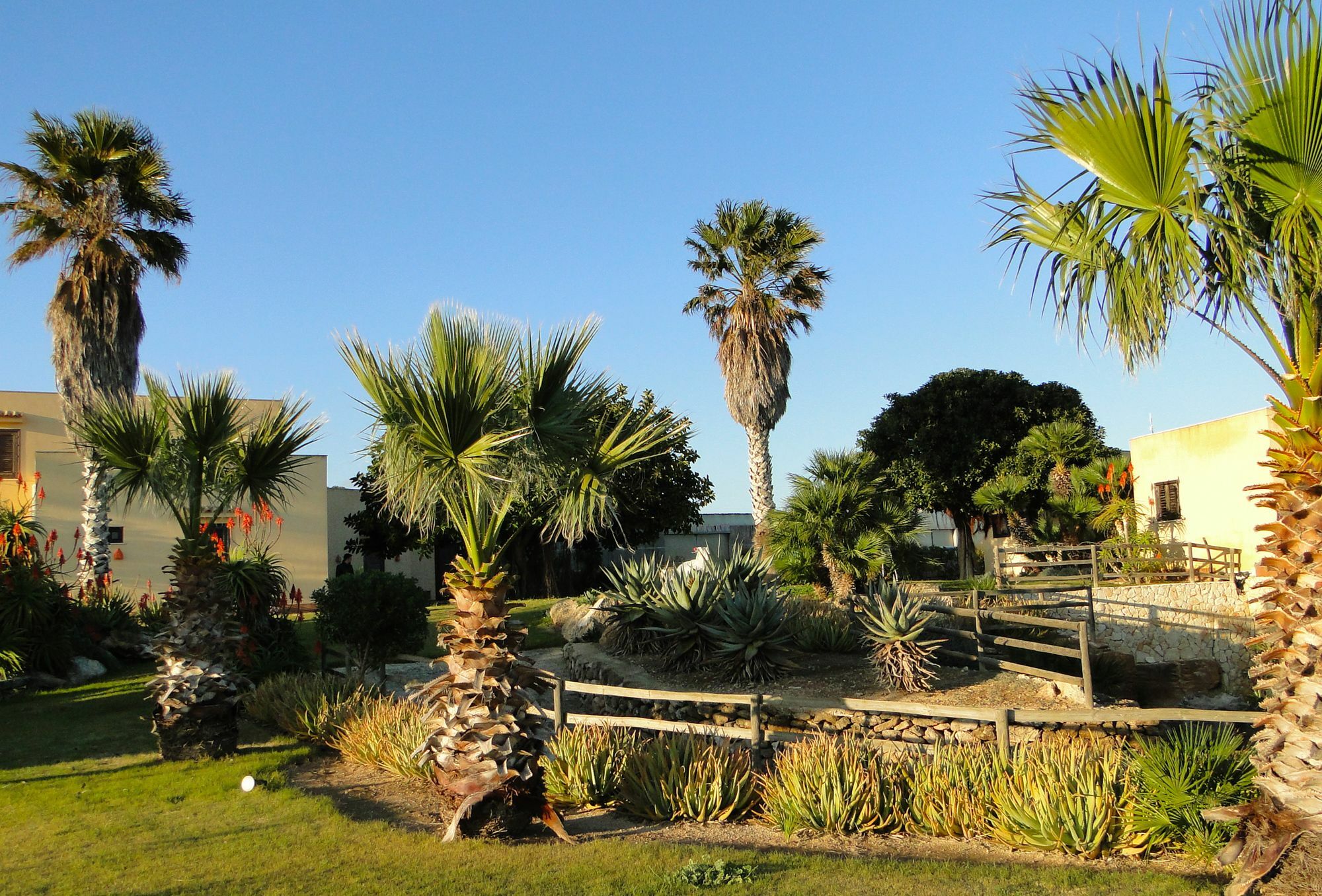 파뷔냐나도 Il Giardino Delle Aloe 게스트하우스 외부 사진